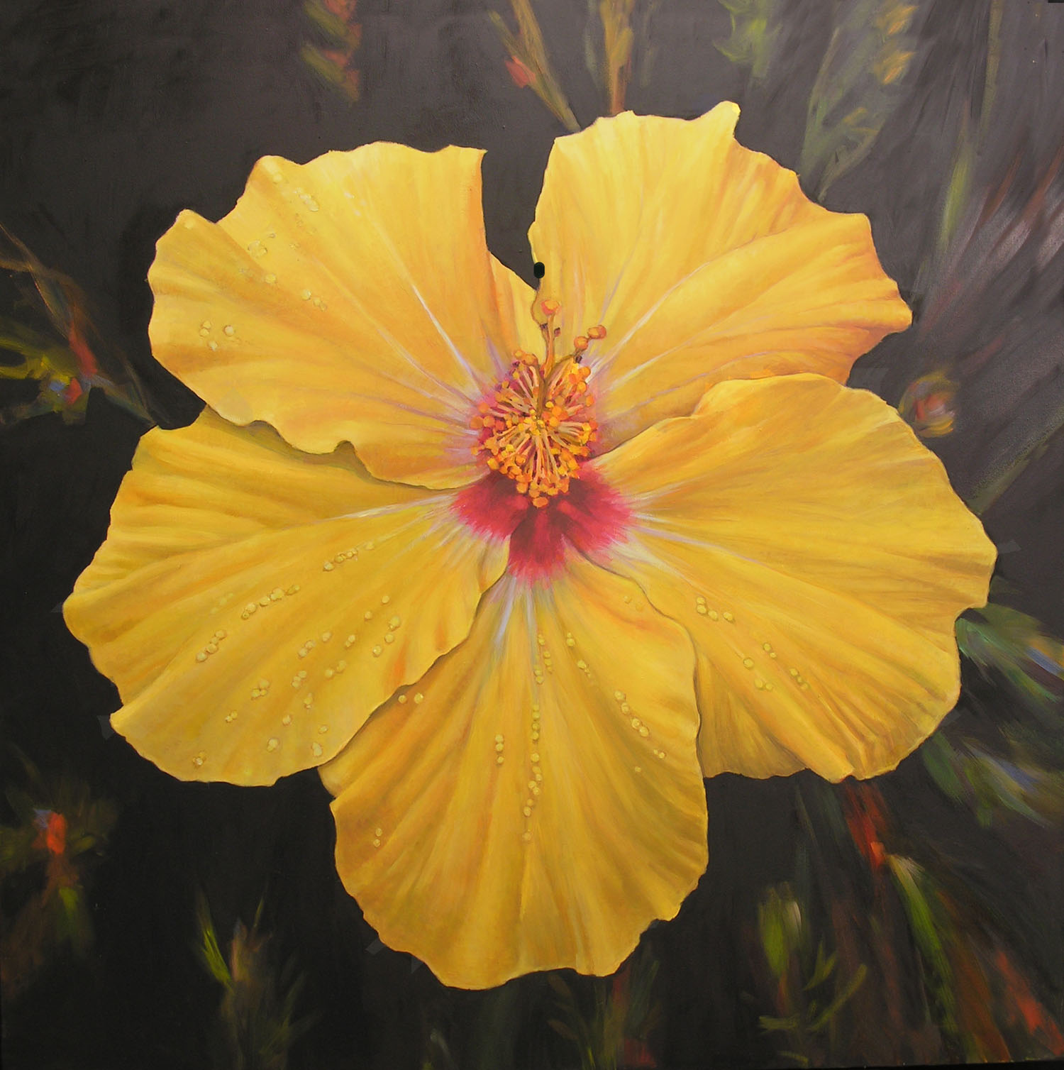 Yellow Hibiscus5